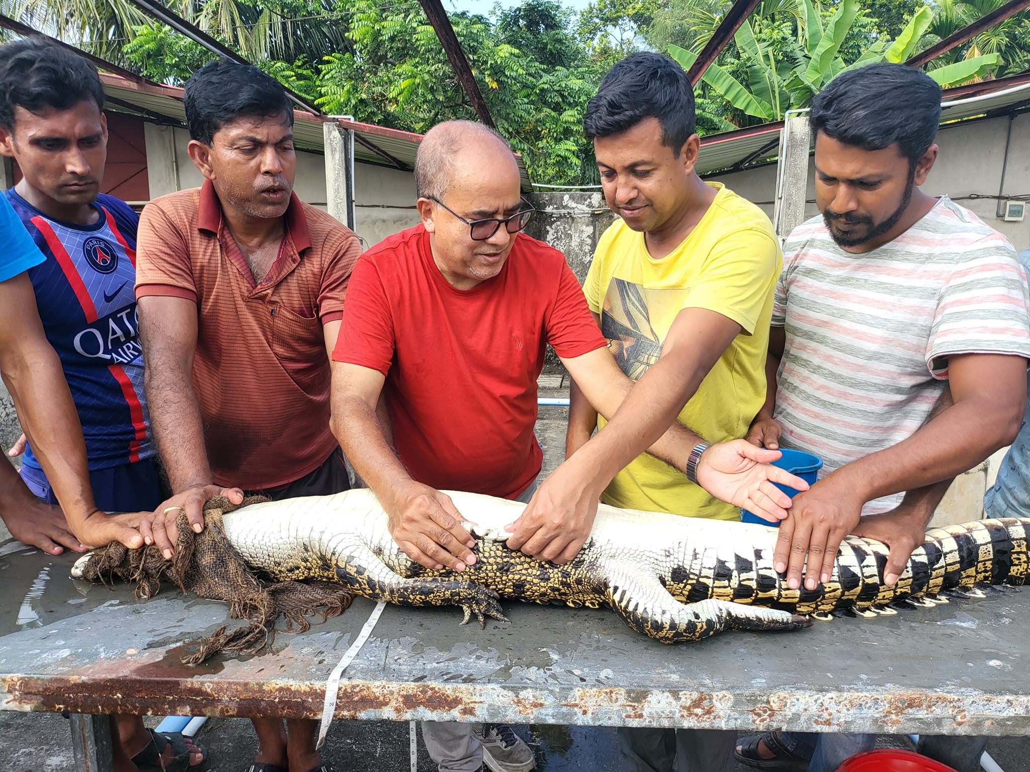 দর্শনার্থীদের জন্য উন্মুক্ত করতে যাচ্ছে দেশের প্রথম কুমিরের খামার